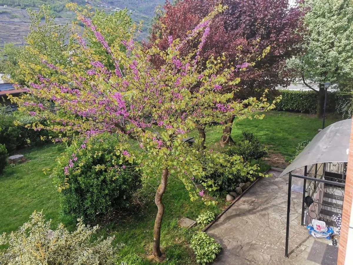La Casa Del Quirino Apartment Tirano